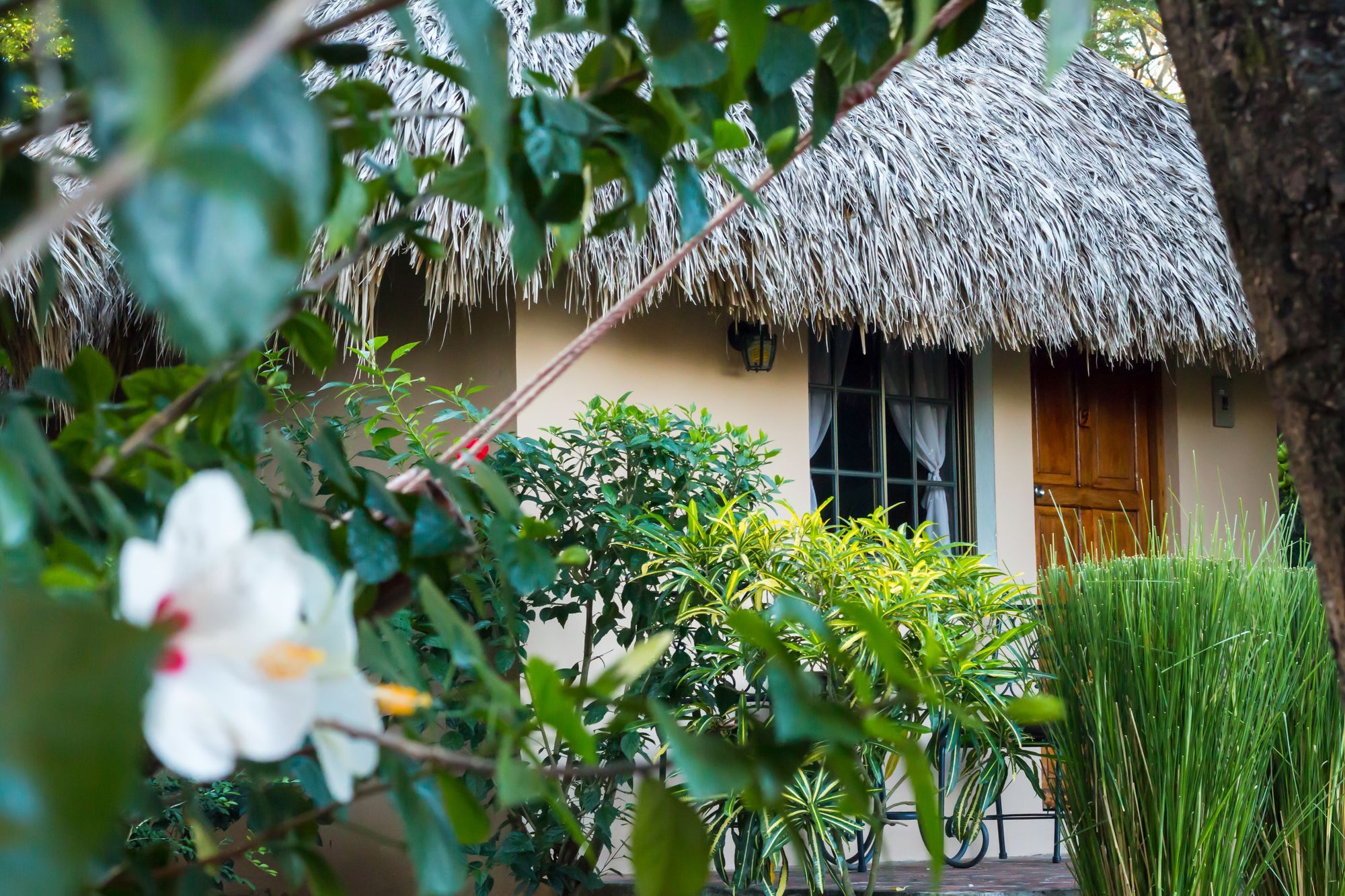 Hotel Mariposa León Εξωτερικό φωτογραφία